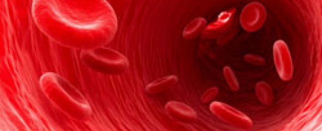 Προτεινόμενα βίντεο