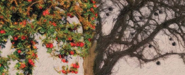 Επιστημονικά περιοδικά