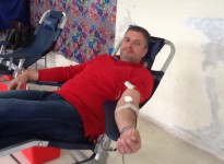 Αιμοδοσίες 2015/